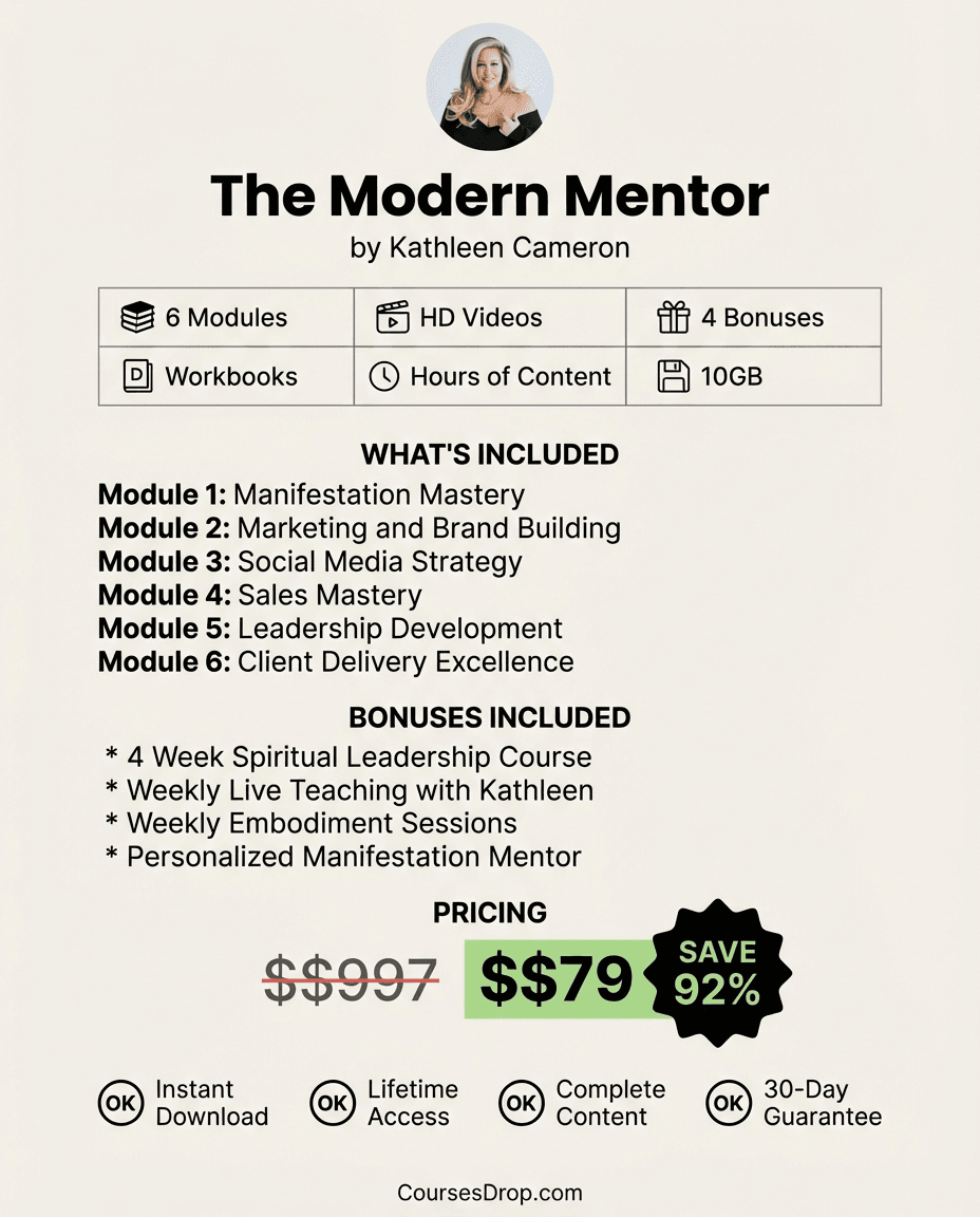 The Modern Mentor infographic
